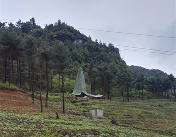 把脈“黔”鋅地，問(wèn)診開(kāi)良方